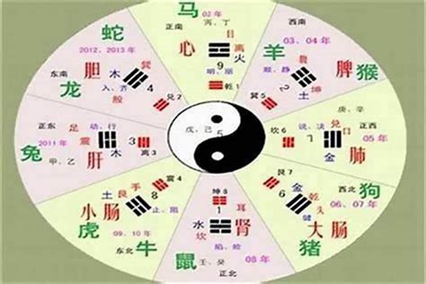 玄五行|玄字的五行属性